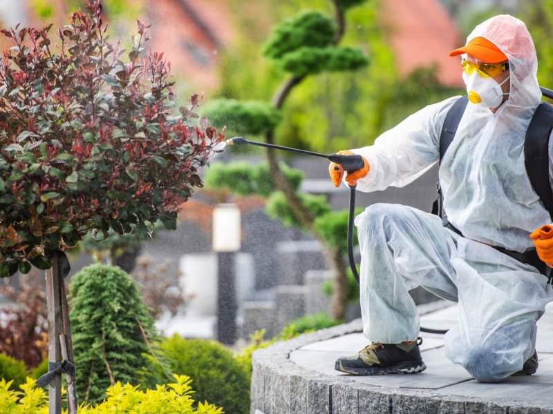 Serinhisar Haşere İlaçlama